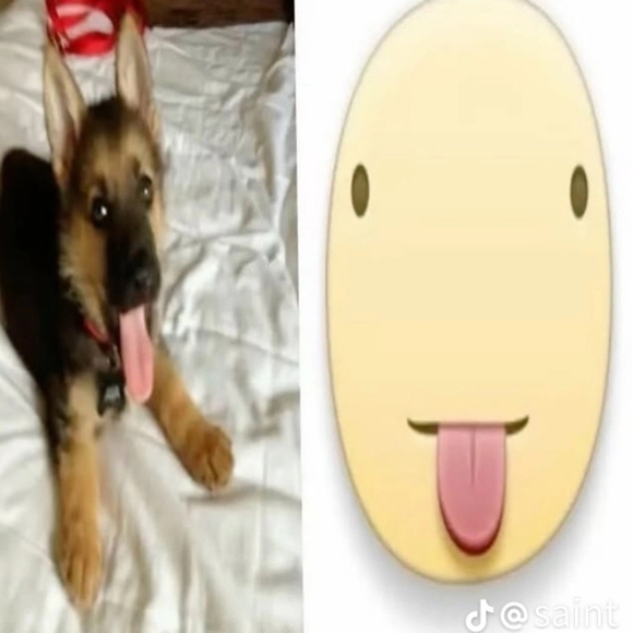 lilpickle6_9